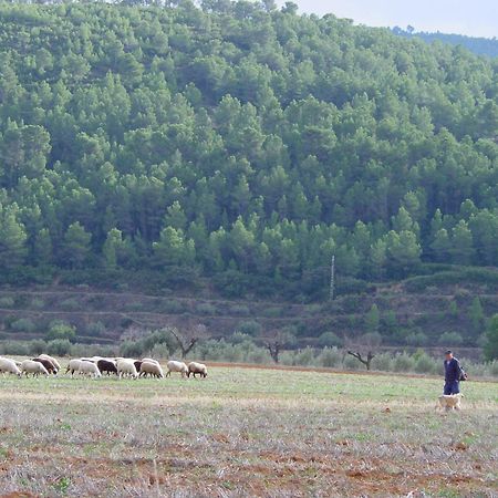 Mogente La Bodega Enoturismo Rural المظهر الخارجي الصورة
