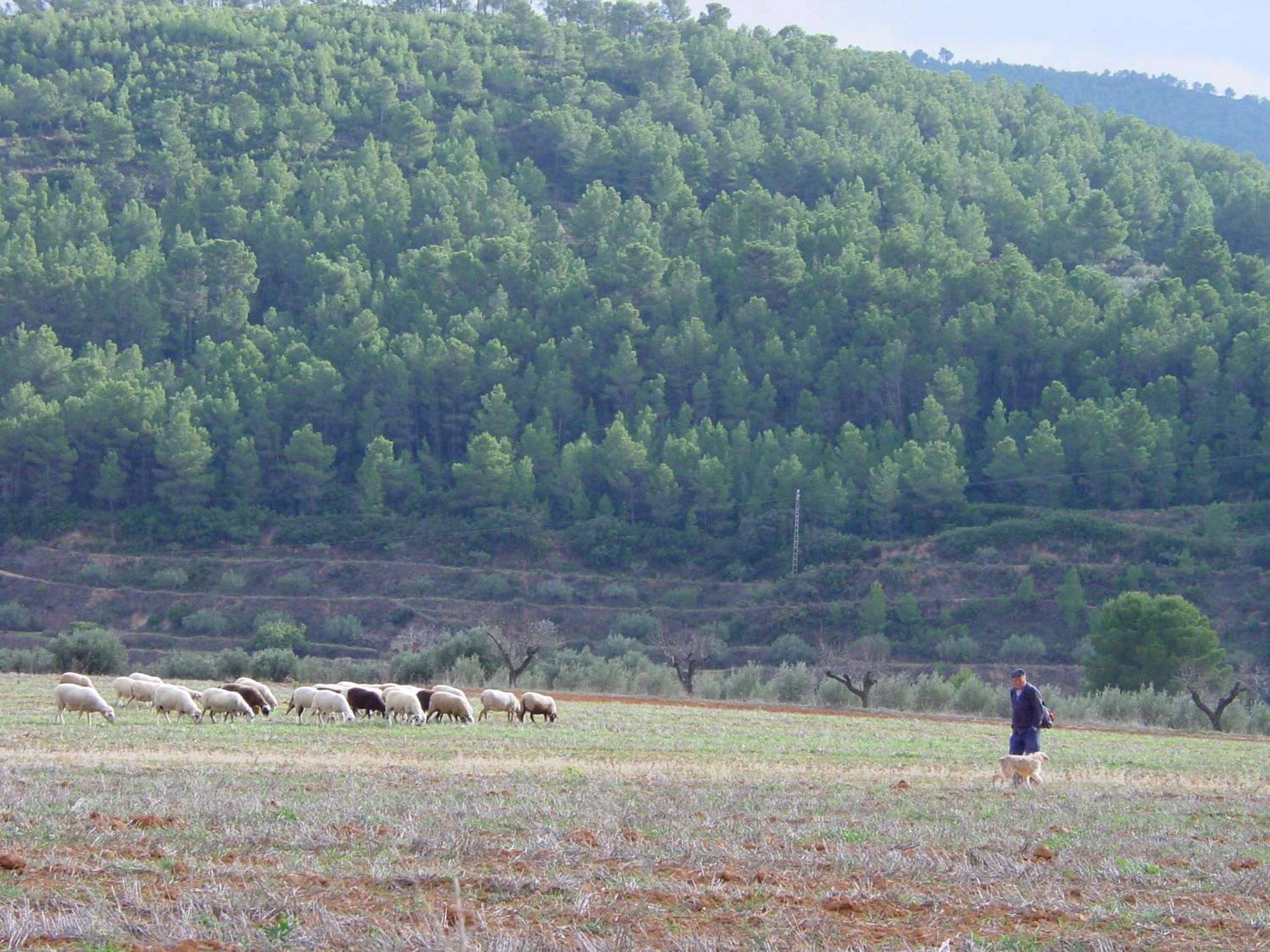 Mogente La Bodega Enoturismo Rural المظهر الخارجي الصورة